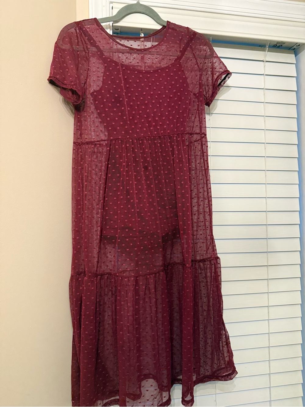 Weissman Burgundy Sheer Polka Dot Dress Costume